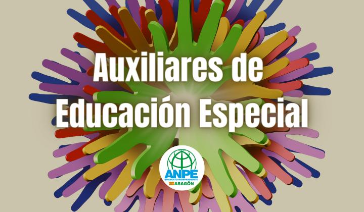 auxiliares-ee-web