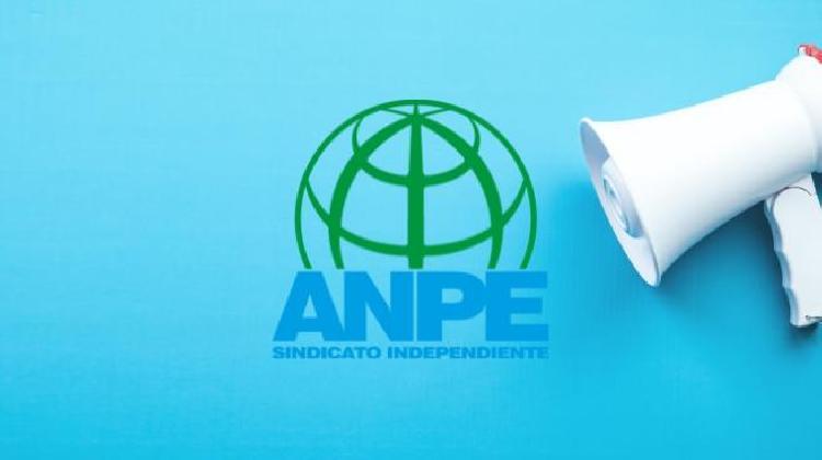 anpe_informa_fp